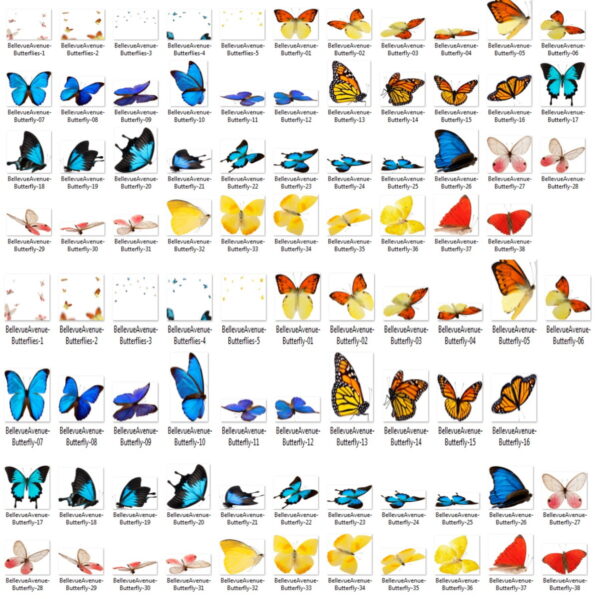 86 Borboletas PNG - Sobreposições reais - Butterfly Overlays - Image 2