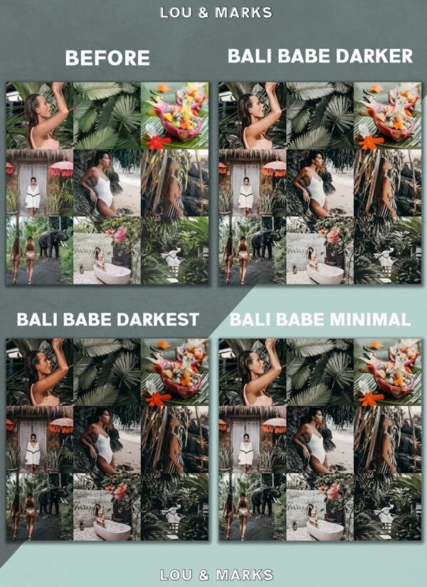 Bali Babe Blogger Pc Presets E Celular 8 DC Presets