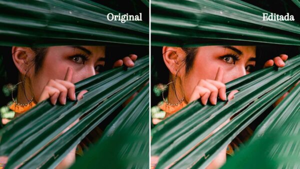 The Organic Presets Lightroom Completo 6 DC Presets