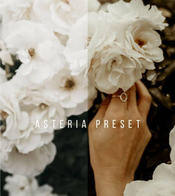 Asteria Presets