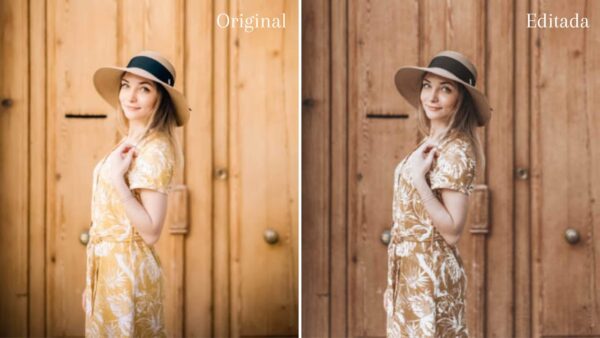 Dark Brown Preset Collection 3 DC Presets