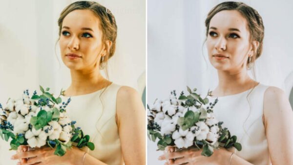 Presets Lightroom Mobile e desktop PS Luts Winter Bride 9 DC Presets